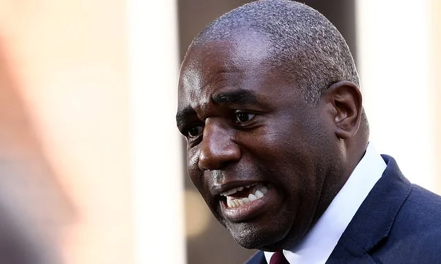 Calamity Lammy strikes again! Former deputy PM accused of giving Andy Burnham phone number of fraudster pretending to be Trump aide