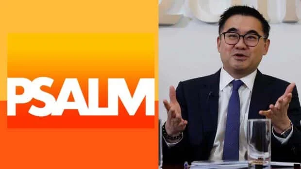 Psalm readies Napocor asset bidding—Finance chief