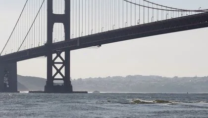 Marine Biologists Solved a Wildlife Mystery From the Walkway of the Golden Gate Bridge: How the Harbor Porpoise Mates