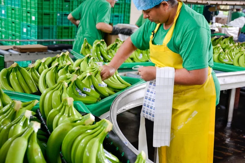 Ecuador’s Puerto Bolivar Is 93% Done With a US$30 Million Cold Store for Bananas