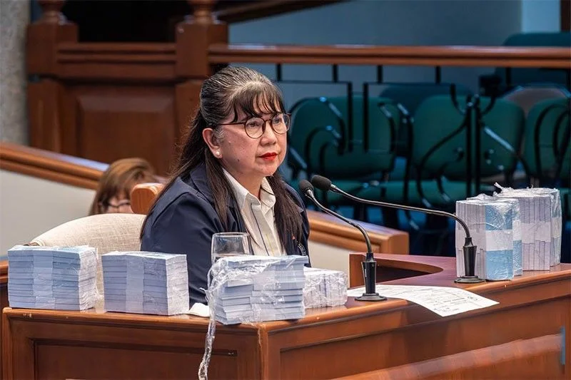 VP Sara order made P125M 'transfer' illegal, says House prosecution panel