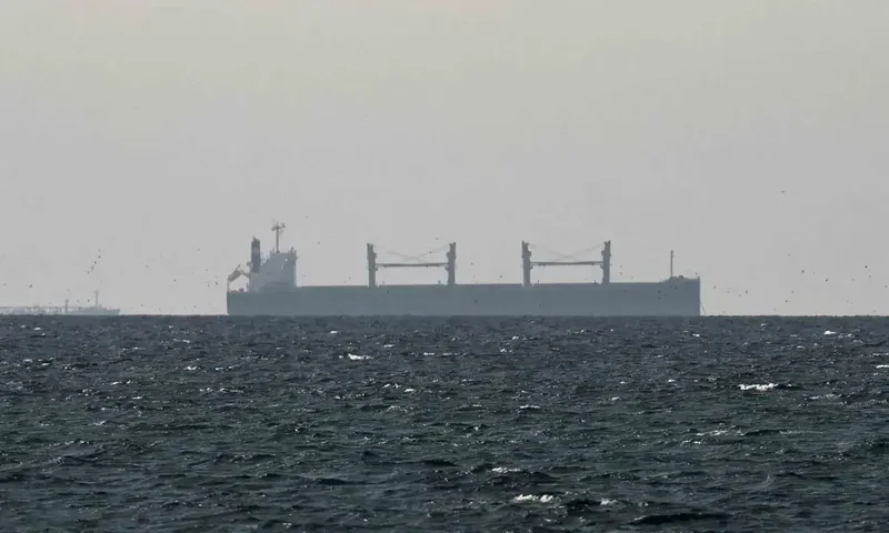 Pakistan working with partners to defuse Hormuz stand-off: FO