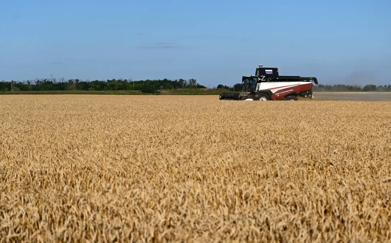 Inventories and farming method gains bolster food system against ‘super’ El Nino
