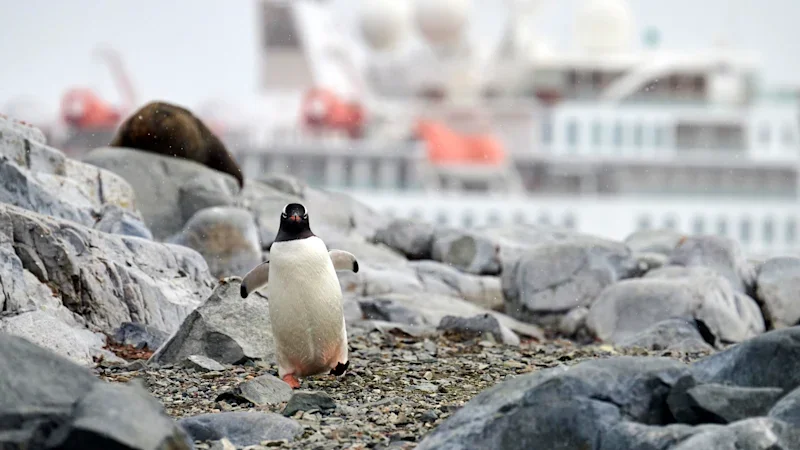 The most important choice on an Antarctic cruise isn’t the ship