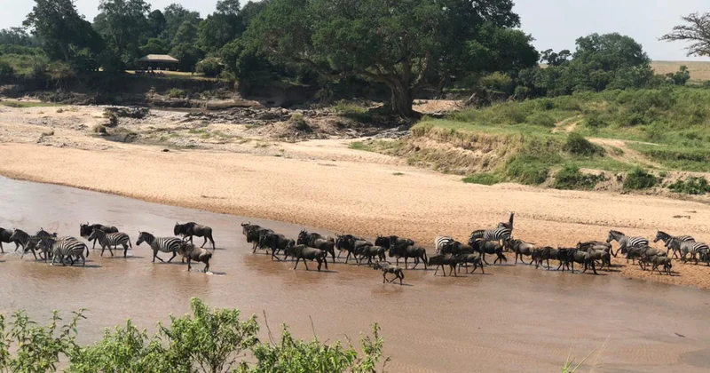 The battle for the Maasai Mara: Can Kenya’s most iconic ecosystem be saved?