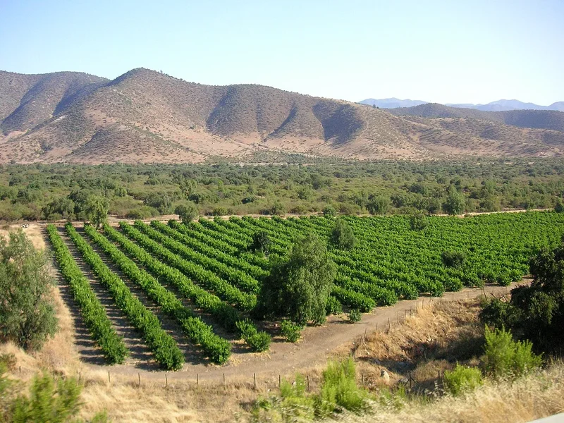 Santiago to Host World’s 50 Best Vineyards 2026 for the First Time