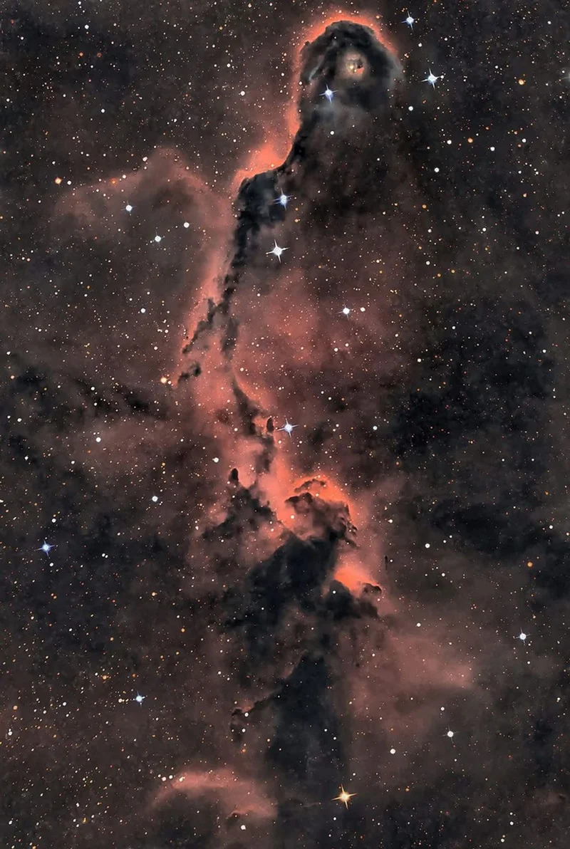 APOD: 2026 August 20 – The Elephant’s Trunk in Cepheus