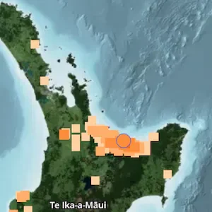 Magnitude 4.1 earthquake strikes near Whakatāne