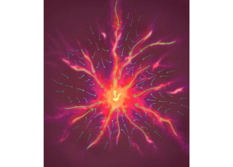 How Gas Filaments and Interfilaments Feed Star Formation in Monoceros R2