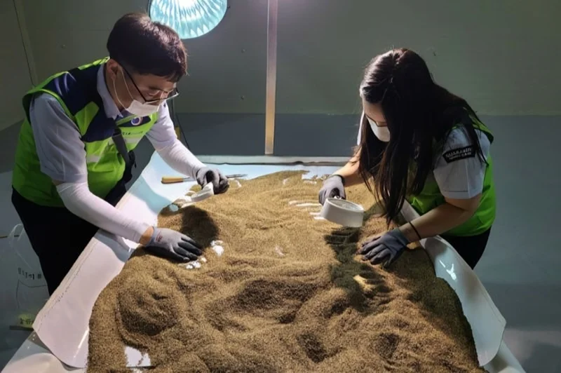 Korean, African researchers join forces to protect food supplies from pests