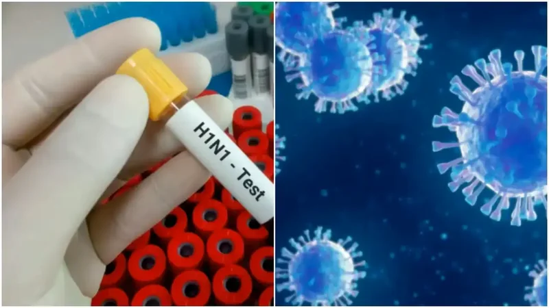 'Mostly self-limiting': No new H1N1 strain in India, says ICMR