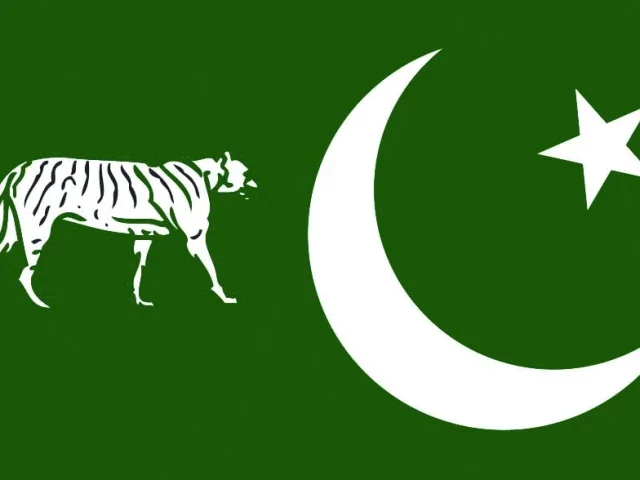 AJK polls: PML-N emerges as largest party with 23 seats
