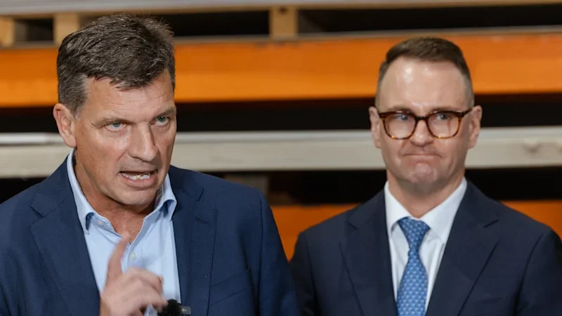 Liberal frontbencher ruffles feathers in own party by calling for ‘economic revolution’