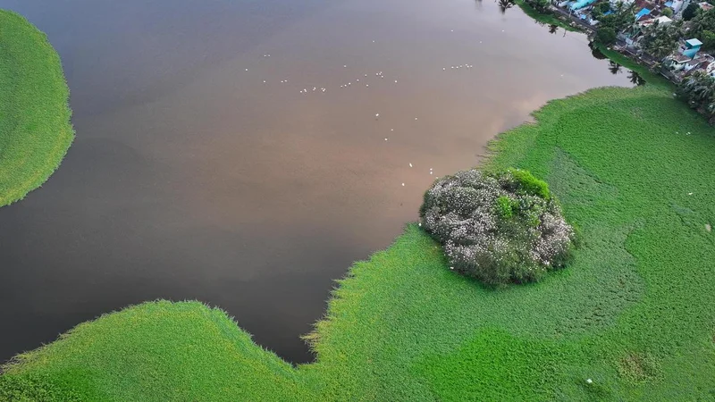 How will the Supreme Court order impact mining around Ramsar wetland sites? | Explained