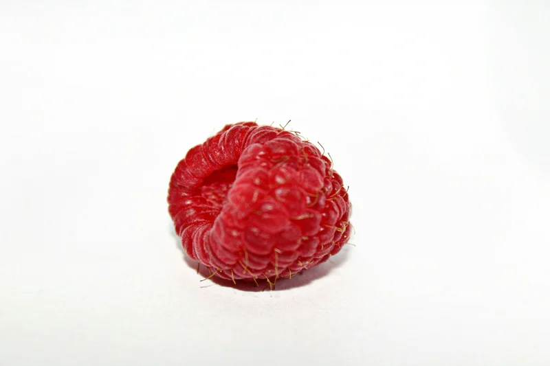 Self-Hosting AI Models on a Raspberry Pi 5: A Complete Guide to Free, Private, Local AI Inference