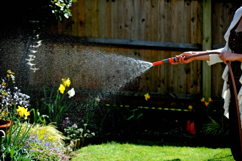 The seven plants to prioritise for watering in a drought – and those you can leave