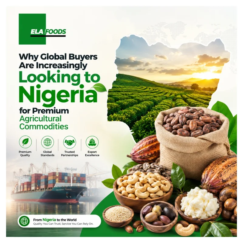 Why global buyers are increasingly looking to Nigeria for premium agricultural commodities
