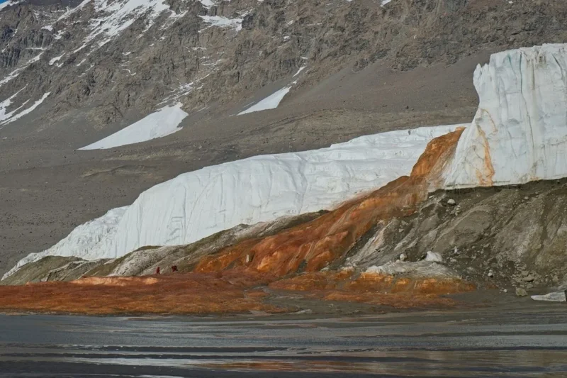 Ancient Life Discovered in Antarctica’s ‘Blood Falls’ May Finally Reveal Its Origins