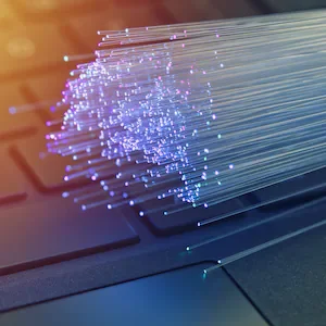 Auckland family loses broadband for a week after vandals target network cables in Henderson Valley