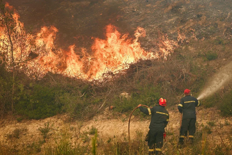Aging power grid linked to majority of Greek wildfires: Report