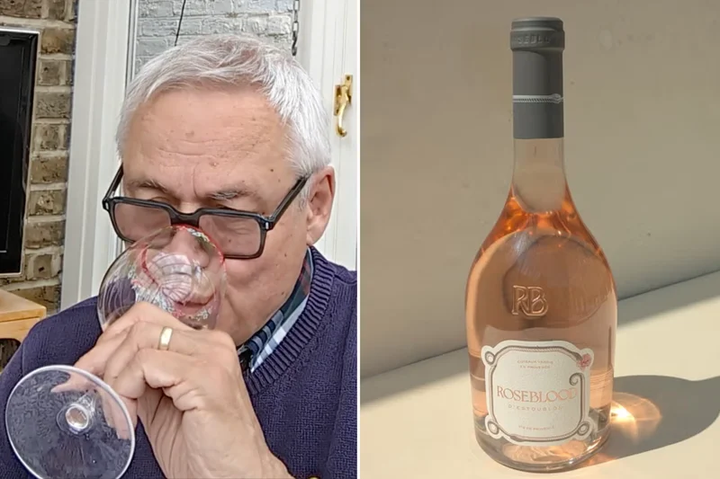 14 best rosé wines for every palate, tasted-tested by an expert
