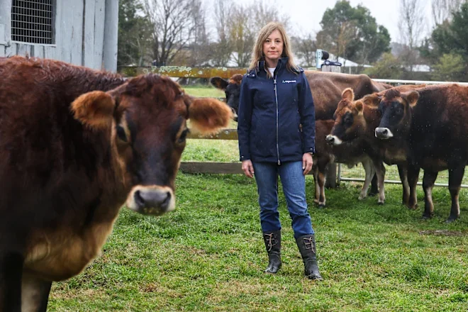 A breathalyser pregnancy test: How AI is sniffing out the next farming revolution