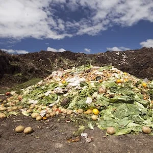 Use by v Best before: Key to knowing how to cut your household food waste