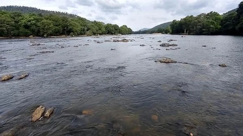 Supreme Court agrees to T.N. Government plea to hear Cauvery water dispute early