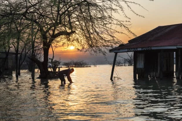 Rising Kenyan lakes push crocodiles closer to homes