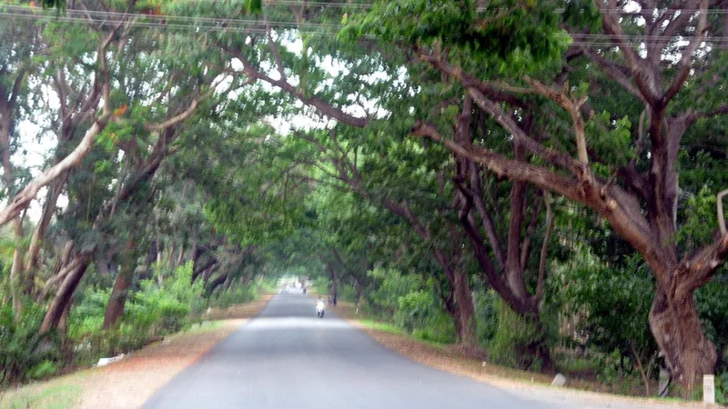 Shivamogga-Tumakuru highway widening work to be completed by March 2027: Union Minister Nitin Gadkari