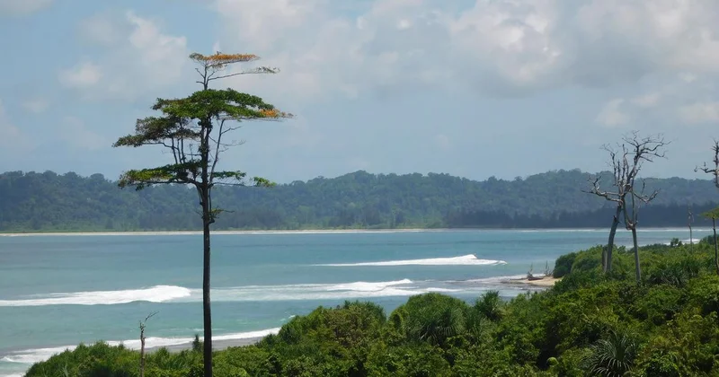Andaman and Nicobar administration withdraws call to develop ‘green’ AI data centre