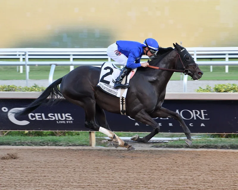 Pacific Classic Offers Breeders’ Cup Berth And $1 Million Purse