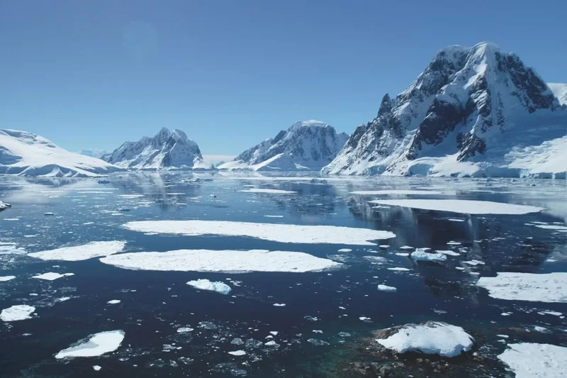 Rising Temperatures Are Turning Antarctica Into a ‘Hotspot’ for This Toxic Pollutant