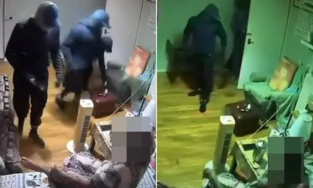 Moment masked thieves break into elderly woman's home and order her to stay silent during burglary - before taking off with cash and jewellery