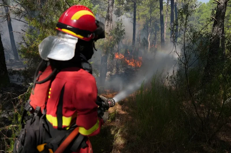 Spain deploys 275 firefighters to tackle Andalusia forest blaze