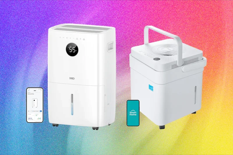 6 Best Dehumidifiers to Fight Mold and Muggy Summers (2026)