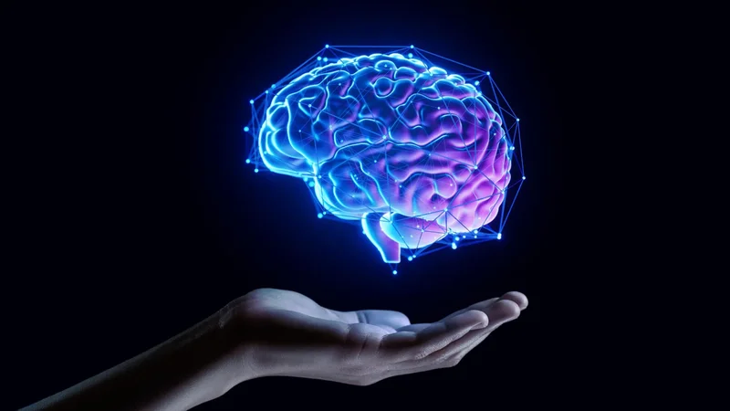 A little movement in midlife could pay off for your brain years later