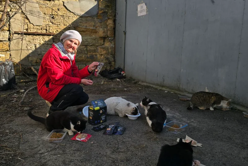 ‘They won’t survive without us’: The grandmothers of Odesa caring for Ukraine’s stray animals