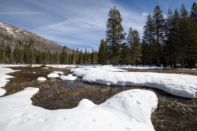 Climate Change Has Unleashed an Entirely Type of Heatwave: The ‘Snow Eater’