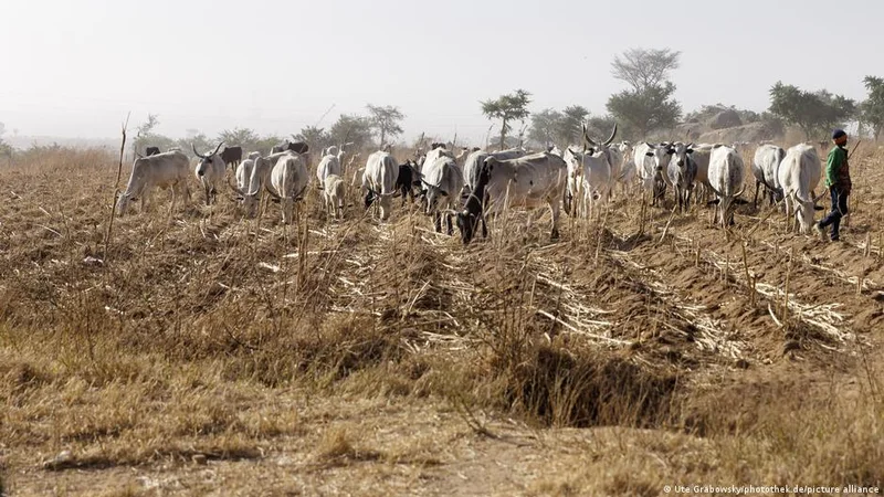 Nigeria: Dozens killed in Plateau state attack