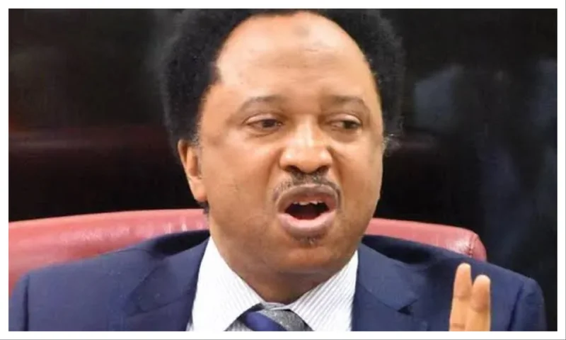Atiku, Obasanjo’s fight will continue until one of them dies – Shehu Sani