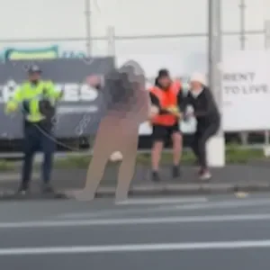 Epsom incidents: Video shows police restraining man after dog killed