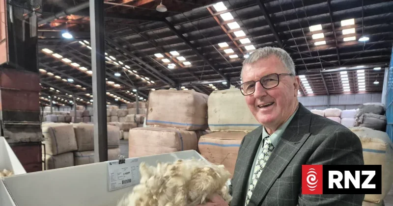 New season New Zealand wool market cools, but still booming for growers