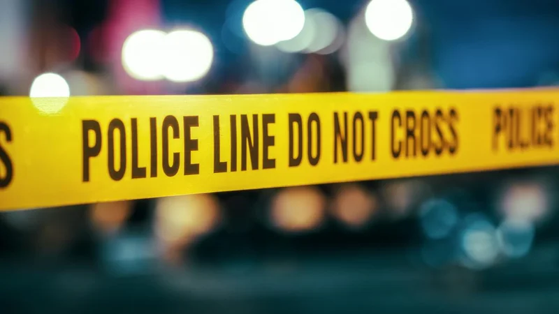 Five people killed as vehicle plunges into Chenab river in J and K's Kishtwar