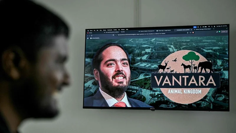 Indian tycoon's giant Vantara zoo announces 'reset', rethinks imports