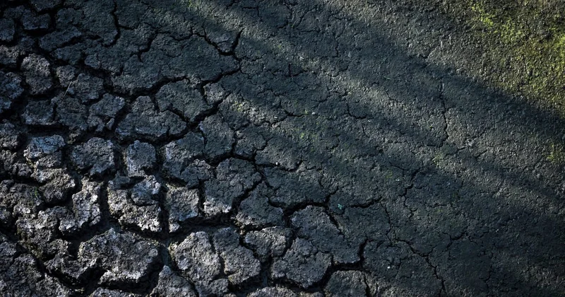 Scorching summer will cost France €10B to €15B, environment minister estimates