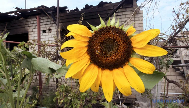 Russian strikes wound 14 civilians in Kherson region over past 24 hours