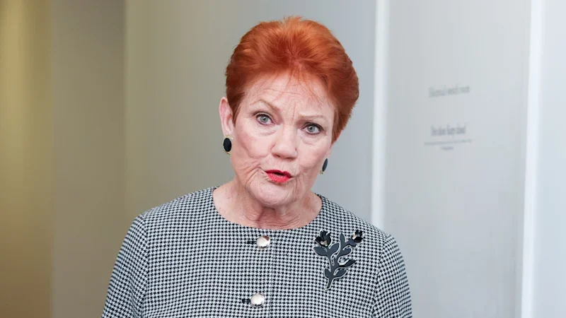 Coalition backs Hanson on foreign fighters despite Howard’s plea to counter One Nation