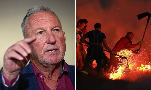 RICHARD LITTLEJOHN: Never mind the barbecue ban and start mowing Britain's dangerously overgrown verges and parks. It's time to admit it's tree huggers and eco-zealots who are truly destroying the environment