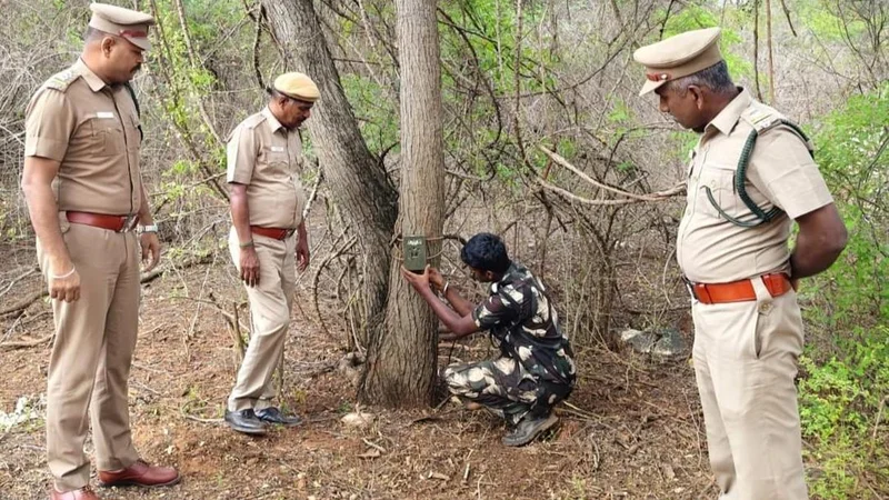 Camera traps installed in Sirumugai forest for tiger survey
